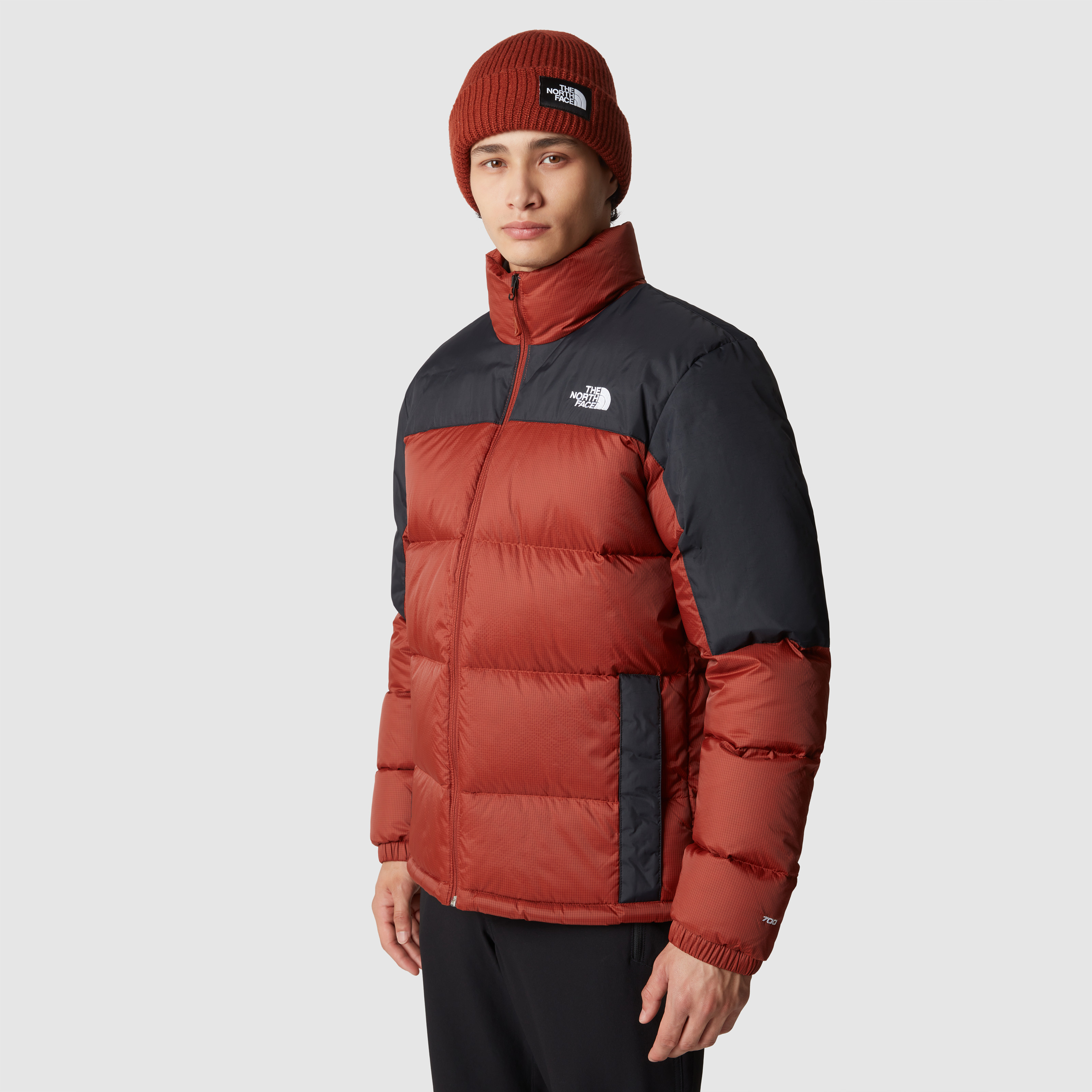 E-shop The North Face M DIABLO DOWN JACKET Pánska bunda US L NF0A4M9JWEW1